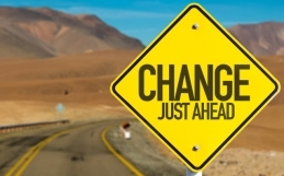 Embracing the Slow Journey of Real Change