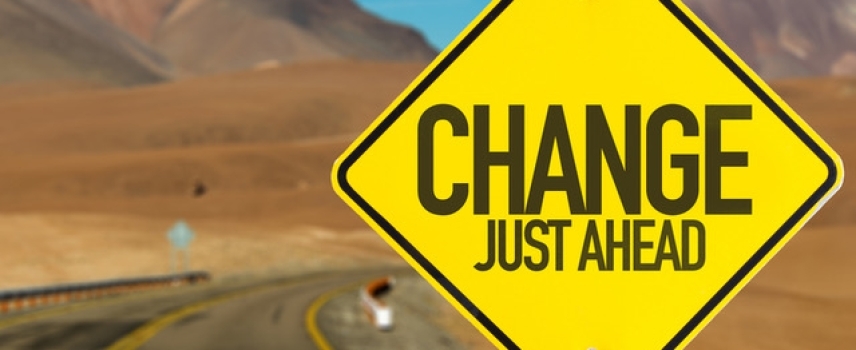 Embracing the Slow Journey of Real Change