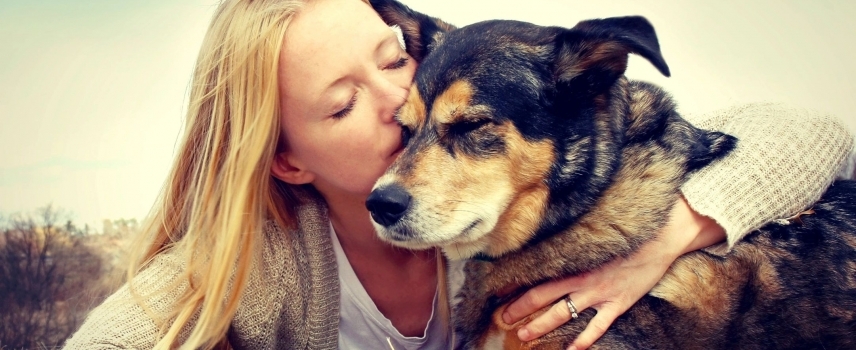 Remembering to be Grateful: The Emotional Process of Saying Goodbye to Your Beloved Pet